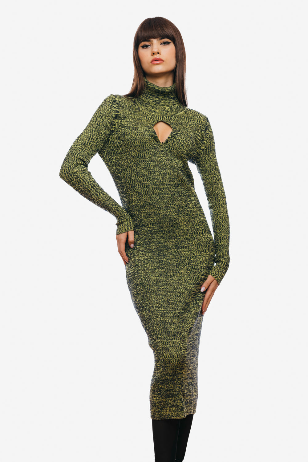 Fitted dress with long sleeves and high collar