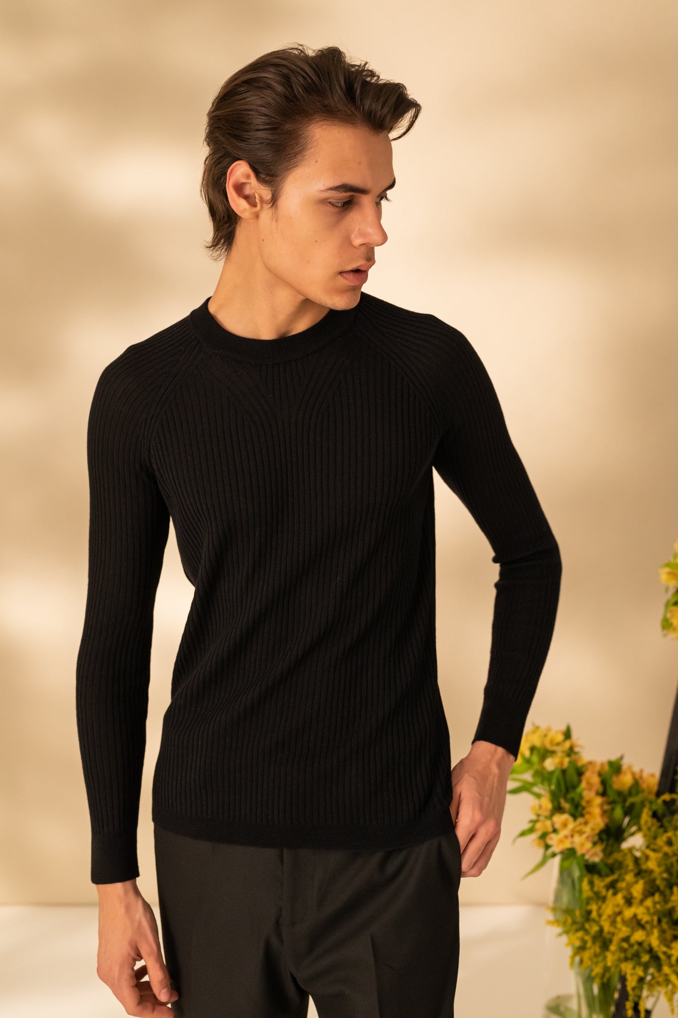 Round neck sweater for men