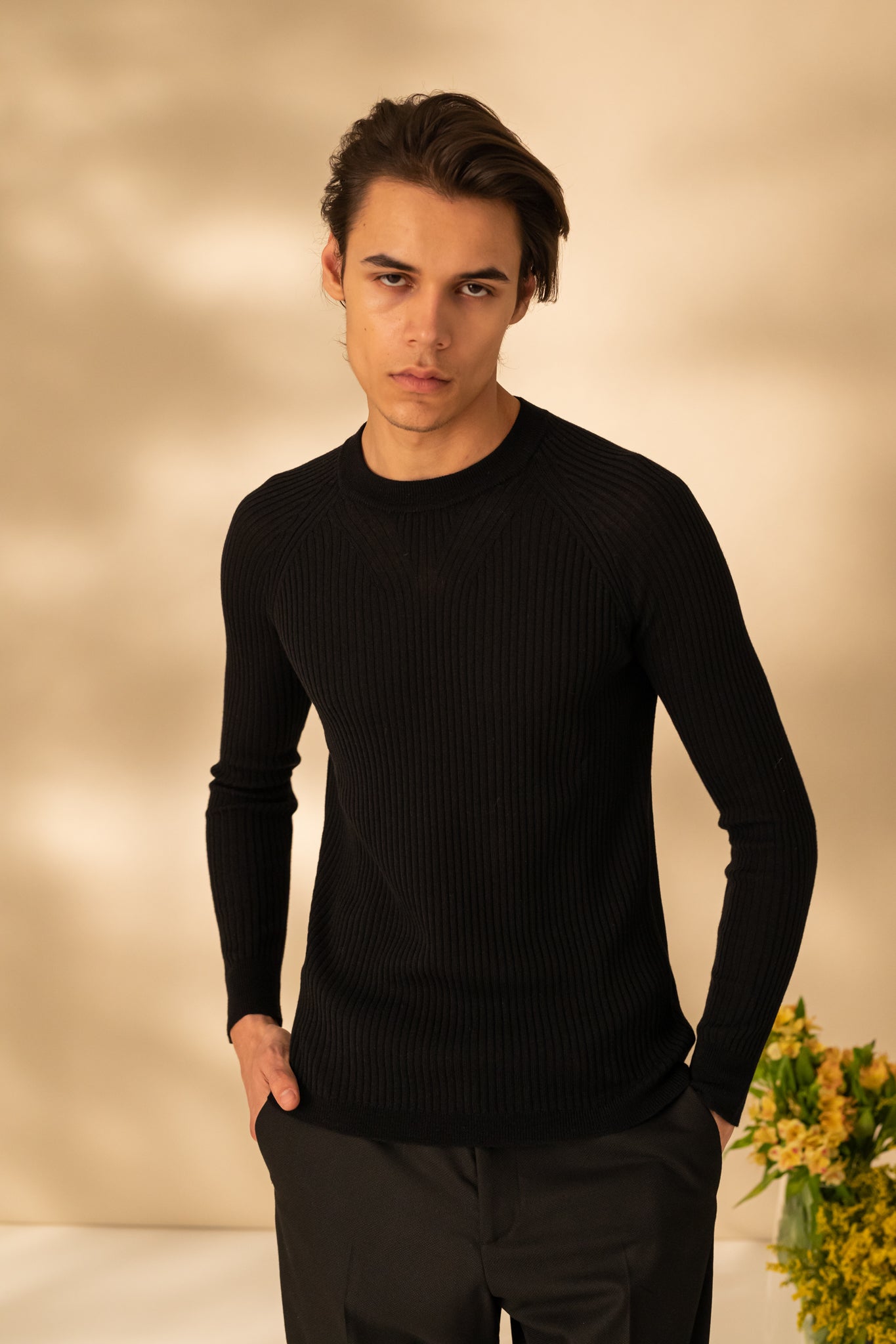 Round neck sweater for men
